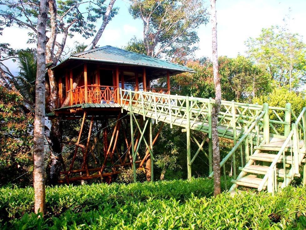 Dream Catcher Resort Munnar Exterior photo